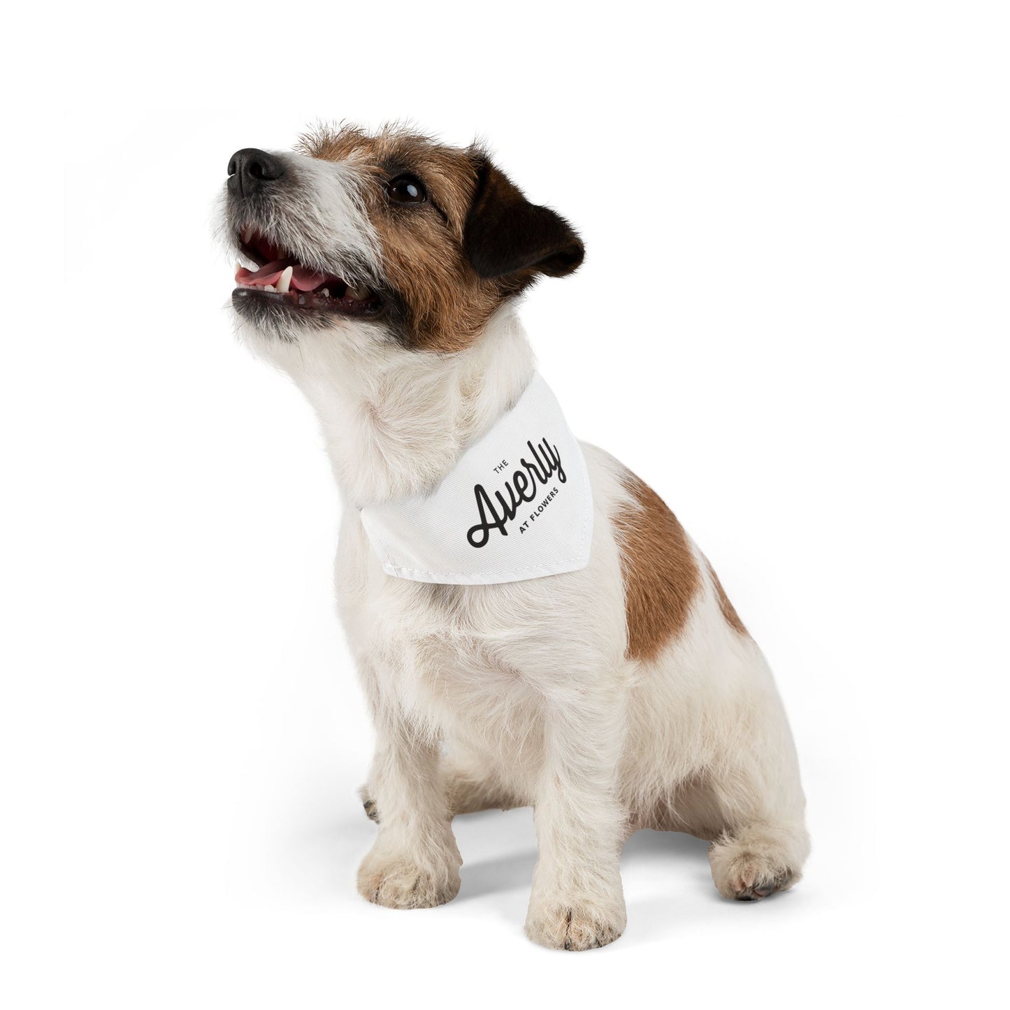 Pet Bandana Collar - The Averly At Flowers