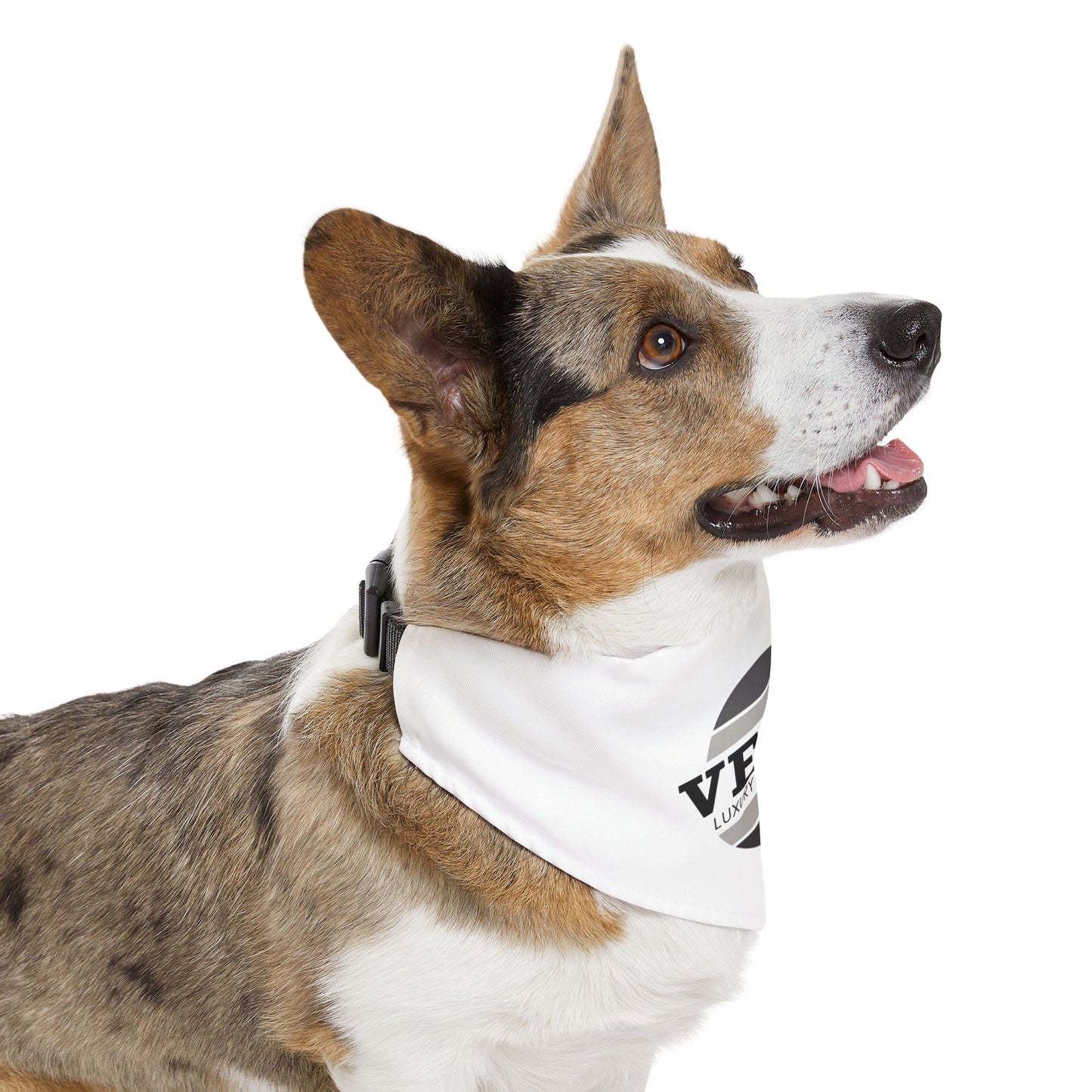Pet Bandana Collar - Verso
