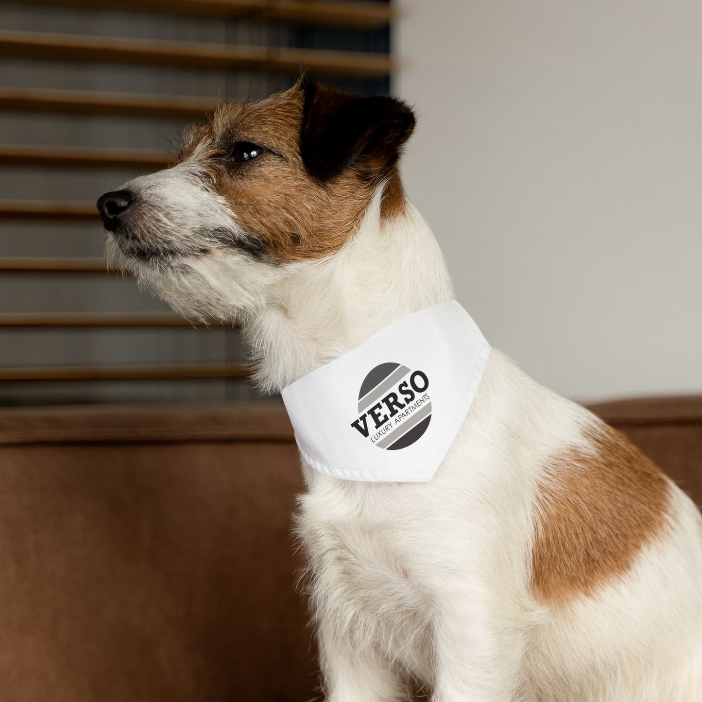 Pet Bandana Collar - Verso