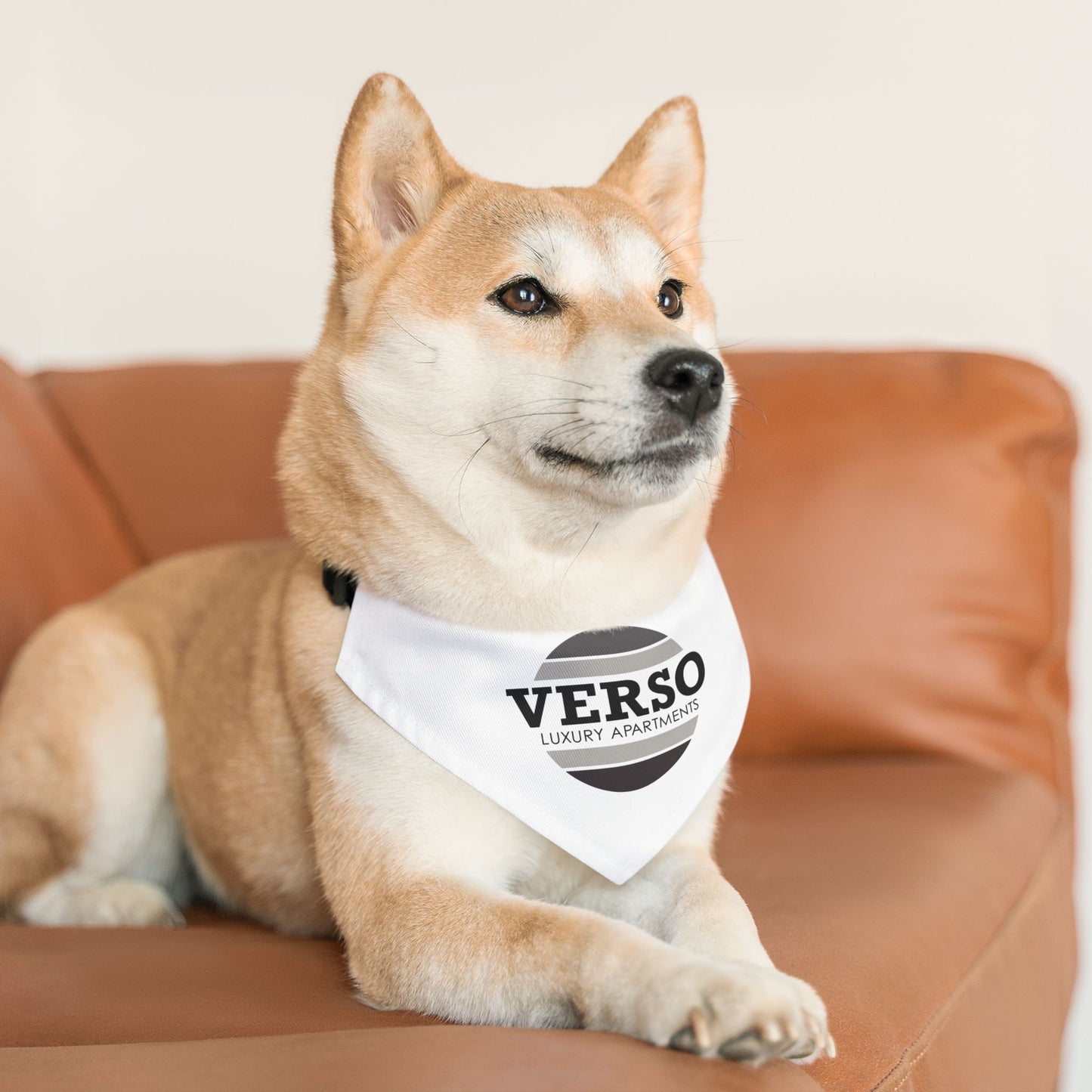 Pet Bandana Collar - Verso