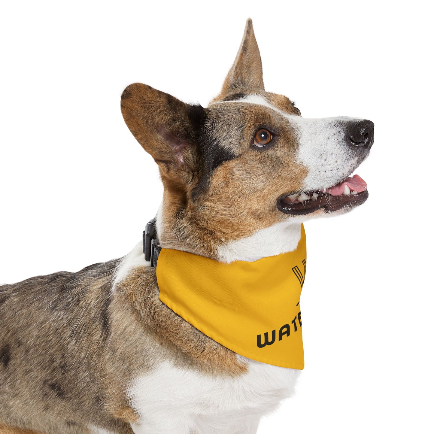 Pet Bandana Collar - The Averly At Flowers