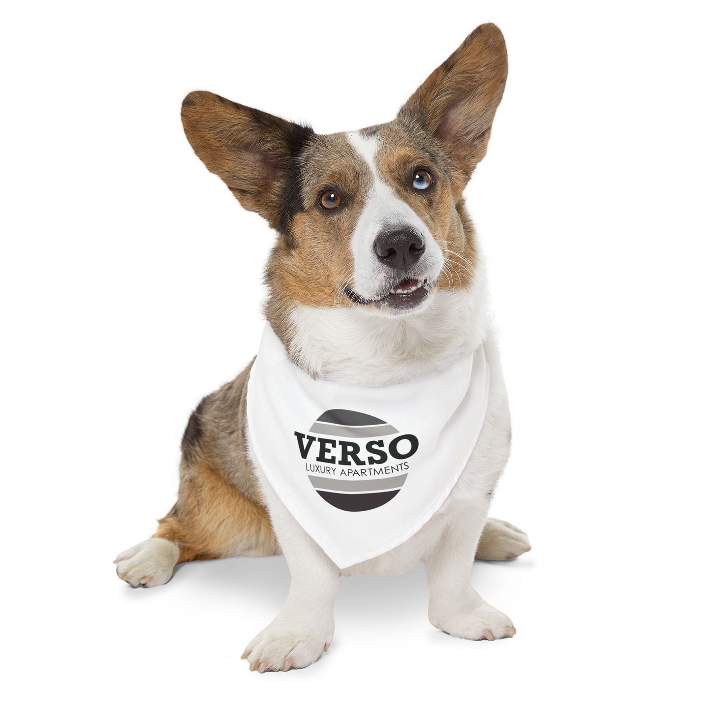 Pet Bandana Collar - Verso