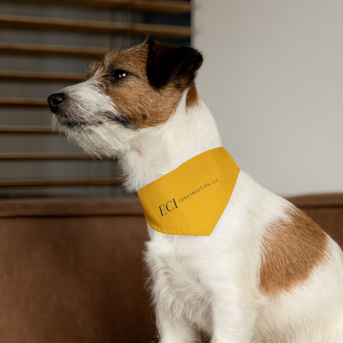 Pet Bandana Collar