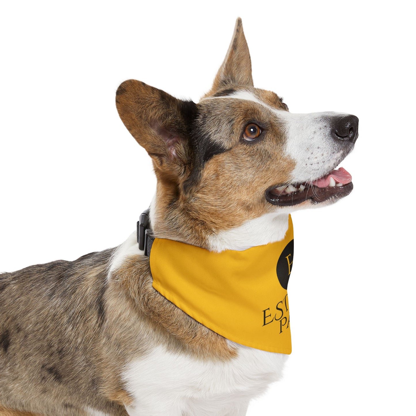 Pet Bandana Collar