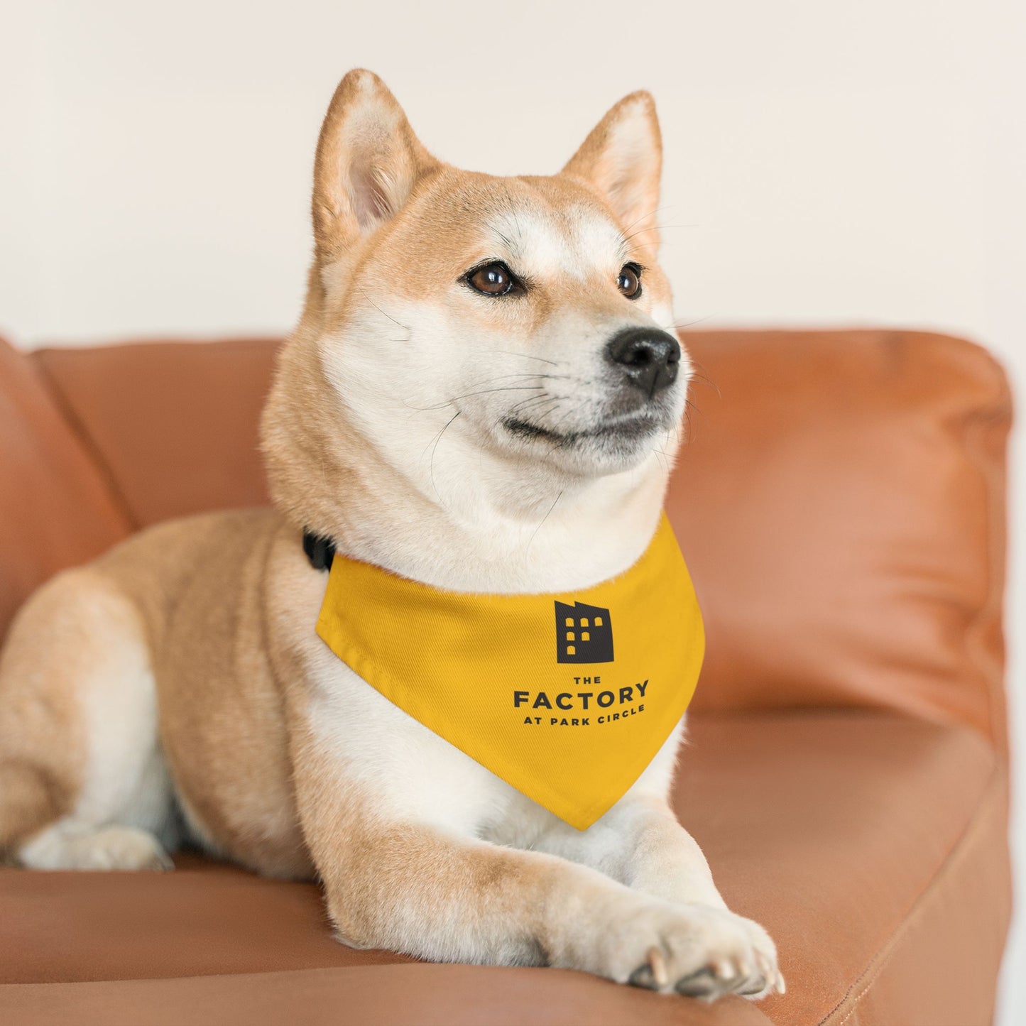 Pet Bandana Collar