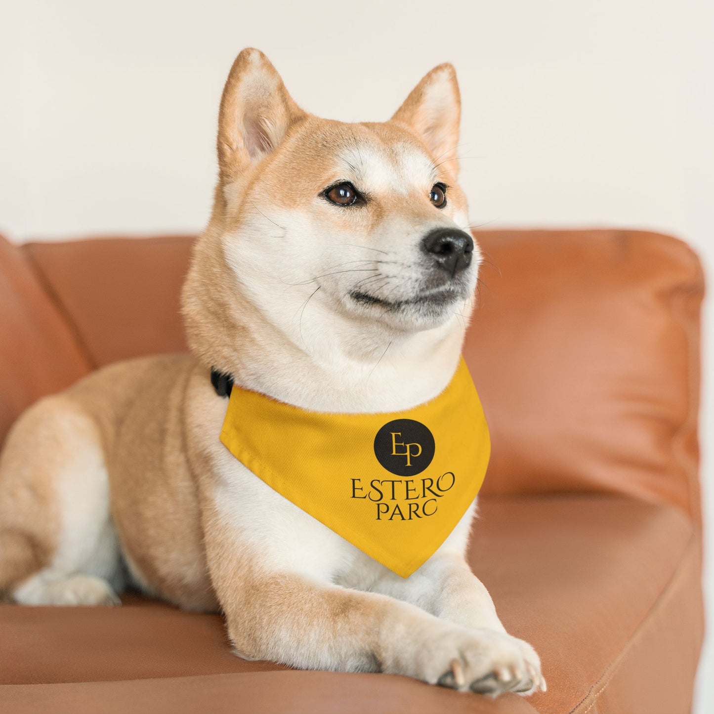 Pet Bandana Collar