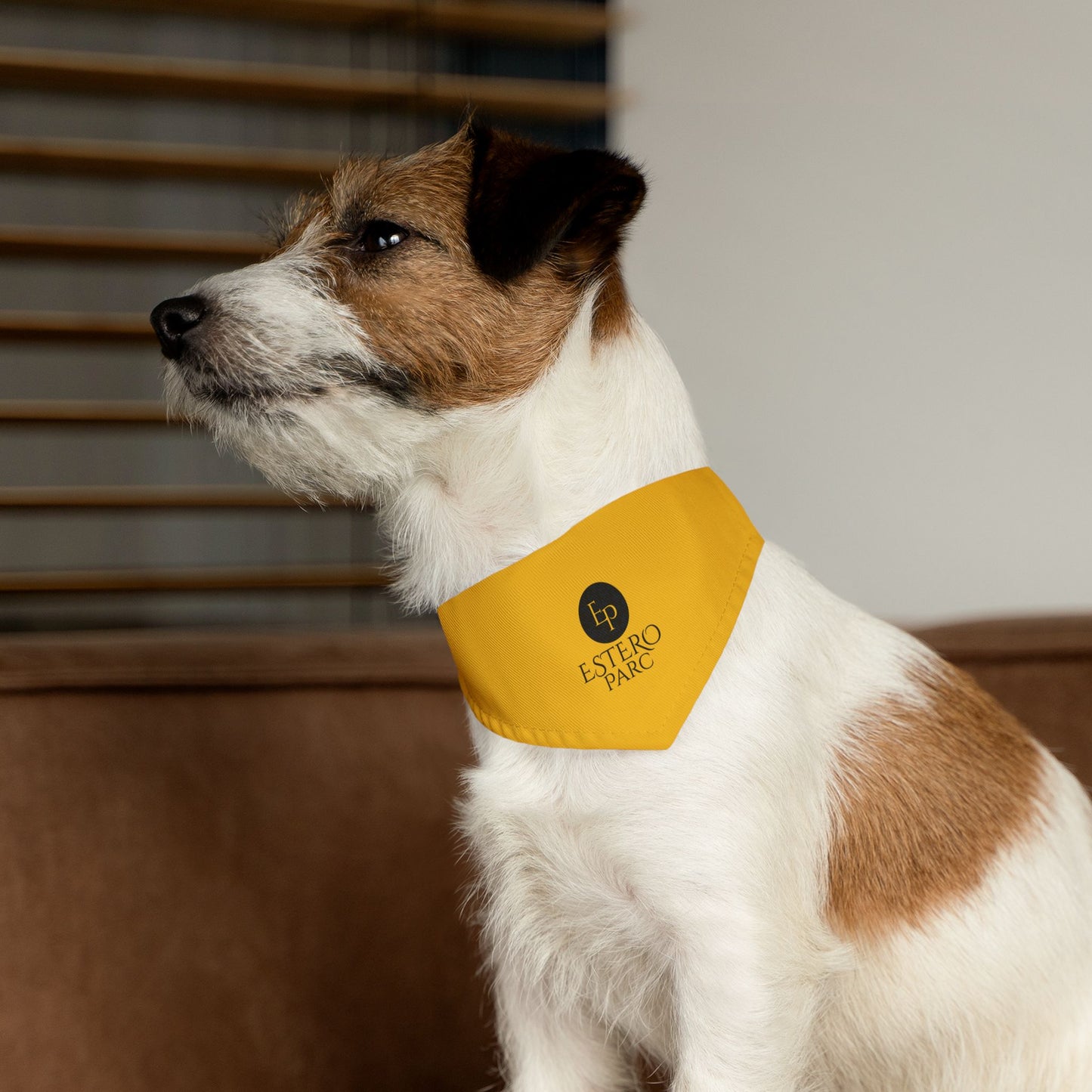 Pet Bandana Collar