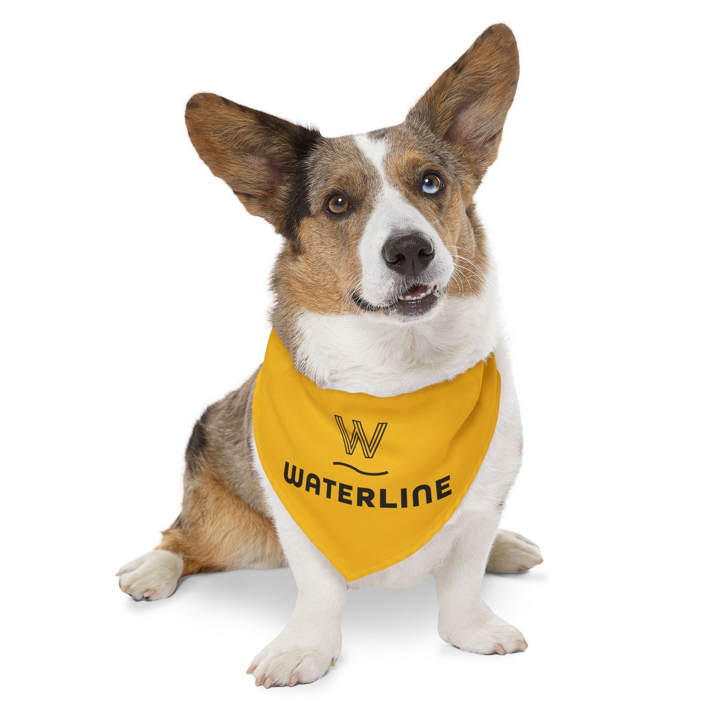 Pet Bandana Collar - The Averly At Flowers