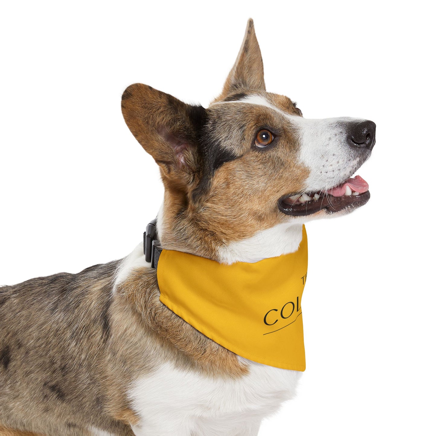 Pet Bandana Collar